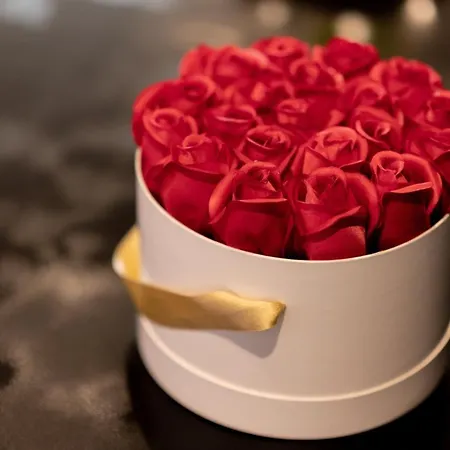 Laperlenoire Xxl Apartamento