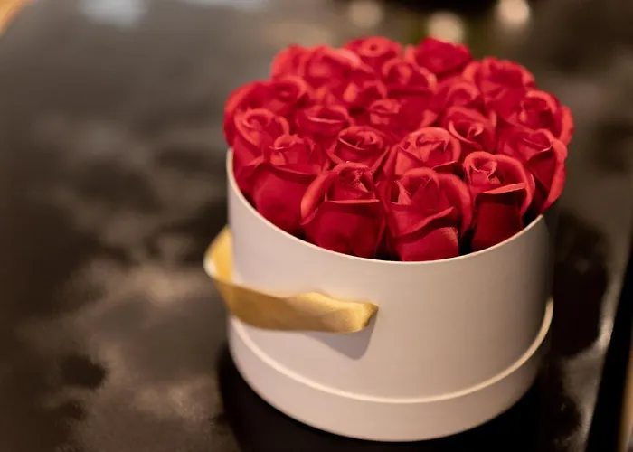 Laperlenoire Xxl アパート